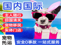 柳州白莲航空快递国际宠物托运 【国